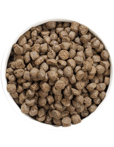 OWNAT PRIME GRAIN FREE ADULT OILY FISH 3 KG 12 KG - 4