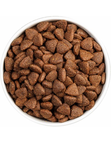 OWNAT CLASSIC MONOPROTEICO IBERIAN PORK 4 KG 12 KG