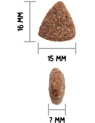 OWNAT CLASSIC MONOPROTEICO IBERIAN PORK 4 KG 12 KG