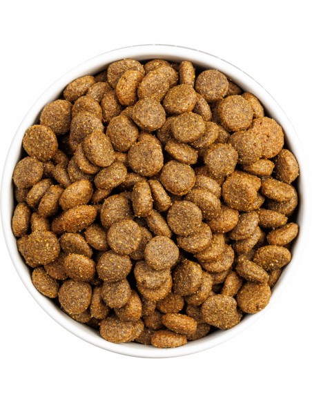 OWNAT CLASSIC MONOPROTEICO SALMON 4 KG 12 KG