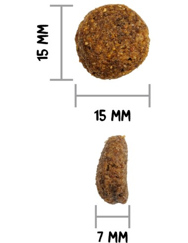 OWNAT CLASSIC MONOPROTEICO SALMON 4 KG 12 KG