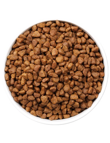 OWNAT ULTRA CAT AGEING FISH 1 5 KG 3 KG