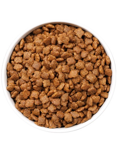 OWNAT ULTRA CAT MATURE 400 GR 1 5 KG 3 KG 8 KG