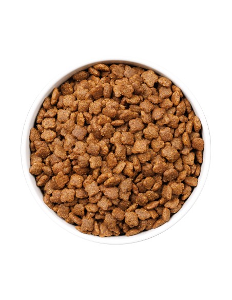 OWNAT ULTRA CAT MATURE 400 GR 1 5 KG 3 KG 8 KG