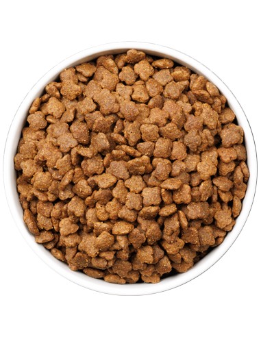 OWNAT ULTRA CAT YOUNG 400 GR 1 5 KG 3 KG 8 KG