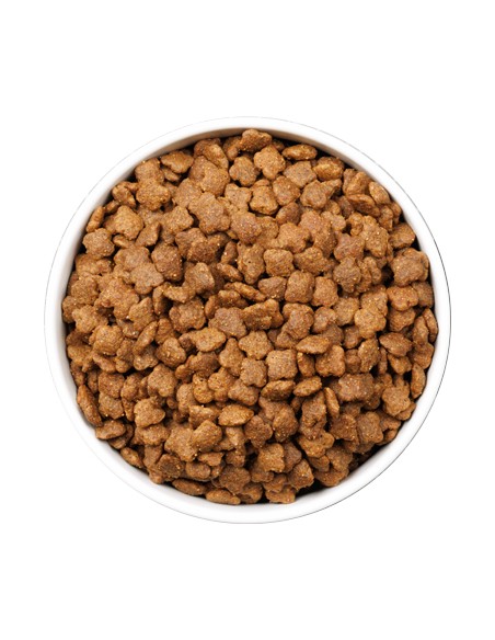 OWNAT ULTRA CAT YOUNG 400 GR 1 5 KG 3 KG 8 KG