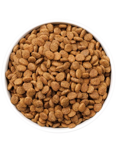 OWNAT ULTRA CAT YOUNG STERILIZED 400 GR 1 5 KG 3 KG 8 KG