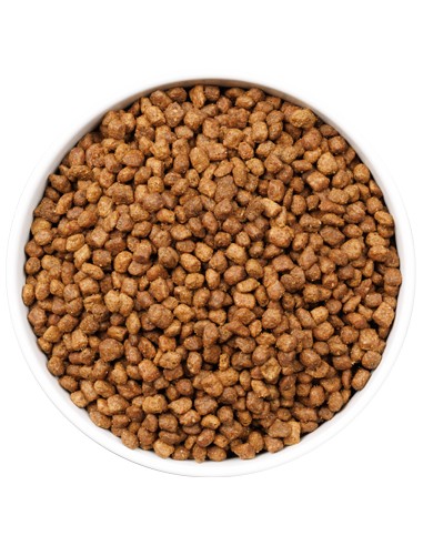 OWNAT ULTRA KITTEN 400 GR 1 5 KG 3 KG