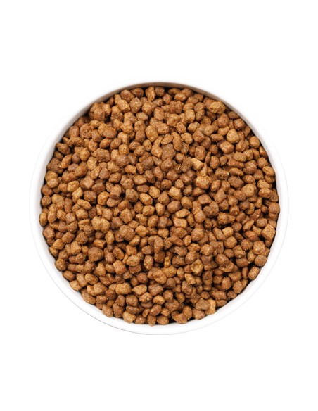 OWNAT ULTRA KITTEN 400 GR 1 5 KG 3 KG