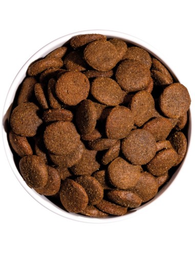 OWNAT ULTRA MAXI ADULT 3 KG 12 KG