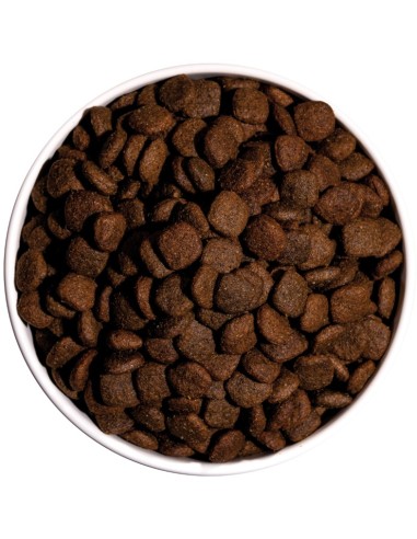 OWNAT ULTRA MEDIUM LAMB 3 KG 12 KG