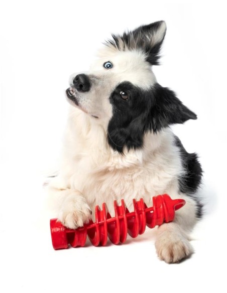 BAMA PET MORDEDOR TIRA MOLLA Ø8 X 25 CM Ø6 X 18 5 CM