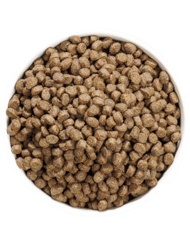 OWNAT JUST GRAIN FREE STERILIZED FISH PARA GATOS 8 KG 3 KG 1 KG - 4