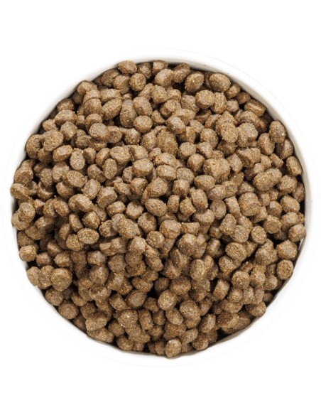 OWNAT JUST GRAIN FREE STERILIZED FISH PARA GATOS 8 KG 3 KG 1 KG - 4