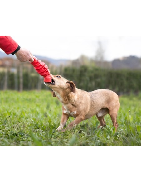 BAMA PET MORDEDOR TIRA MOLLA Ø8 X 25 CM Ø6 X 18 5 CM