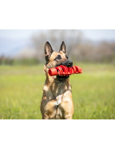 BAMA PET MORDEDOR TIRA MOLLA Ø8 X 25 CM Ø6 X 18 5 CM