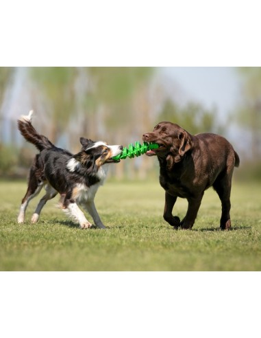 BAMA PET MORDEDOR TIRA MOLLA Ø8 X 25 CM Ø6 X 18 5 CM