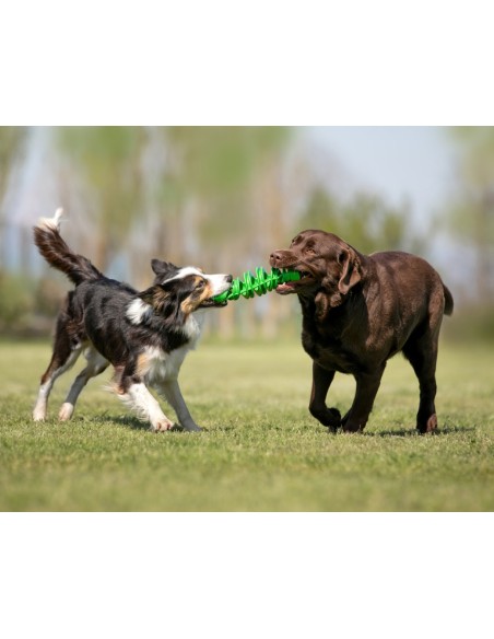 BAMA PET MORDEDOR TIRA MOLLA Ø8 X 25 CM Ø6 X 18 5 CM