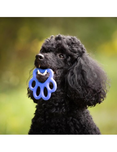 BAMA PET MORDEDOR ORMA 8 5 X 8 X 0 9 CM 14 X 13 X 1 5 CM 16 5 X 15 5 X 2 CM