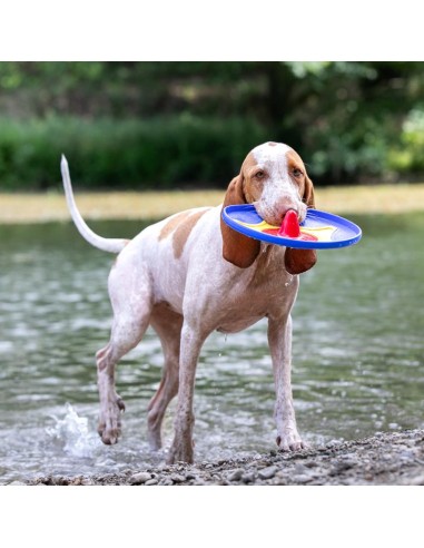 BAMA PET DISCO TROTTO 24 5 X 4 5 CM