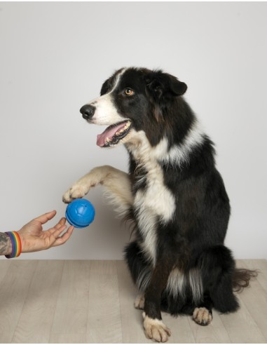 BAMA PET PELOTA RUGA Ø8 CM