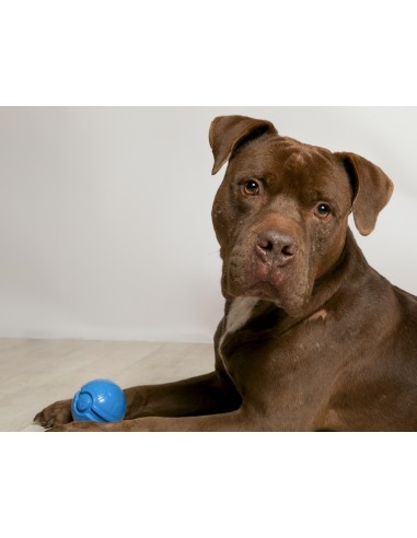 BAMA PET PELOTA RUGA Ø8 CM