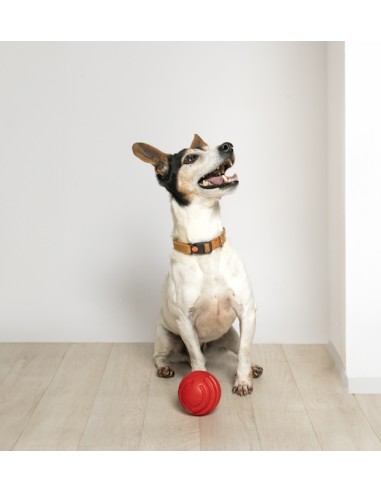 BAMA PET PELOTA RIGA Ø8 CM