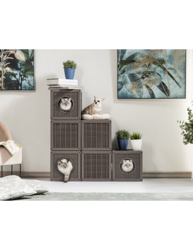 BAMA PET CASA GATOS QUBLO MODULAR MARRÓN 35 X 35 X 35 CM VERDE 35 X 35 X 35 CM