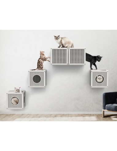 BAMA PET CASA GATOS QUBLO MODULAR MARRÓN 35 X 35 X 35 CM VERDE 35 X 35 X 35 CM