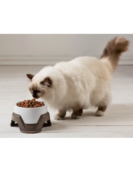 BAMA PET COMEDERO CIOTOLE MIMI 19 X 19 X 10/13 CM