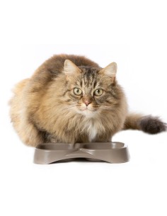 BAMA PET COMEDERO DOBLE CIOTOLA 21 X 11 5 X 3 CM 2