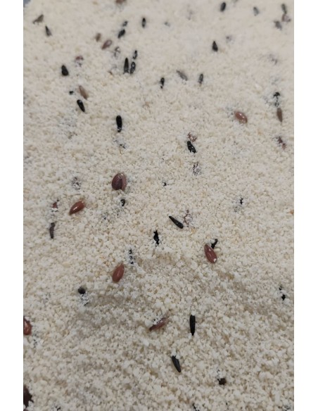 ORNIVALLES PASTA SECA WHITE V5 - 5 KG 5 KG