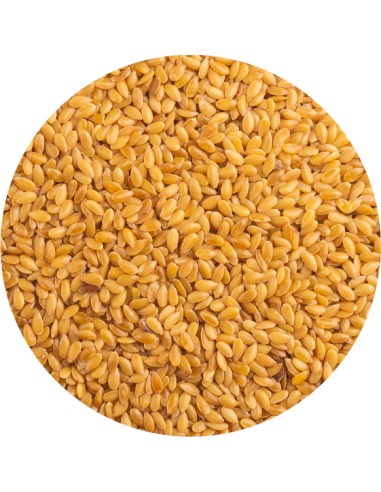 PET CUP LINAZA DORADA 20 KG