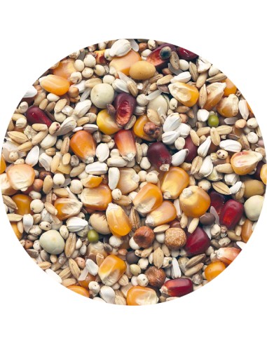 PET CUP PALOMOS EXTRA PLUS 25 KG