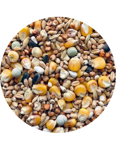 PET CUP PALOMOS PLUS 25 KG