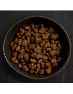 CANAGAN POLLO CAMPERO PARA CACHORROS 2 KG 12 KG 6 KG - 3 2