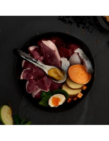 CANAGAN CARNES DE CAZA PARA GATOS 4 KG 1 5 KG 375 GR - 2