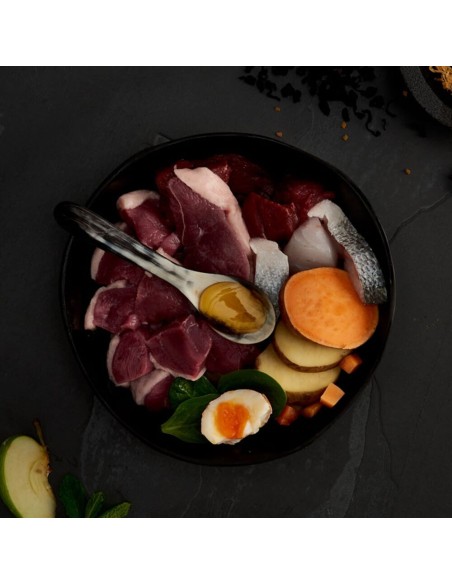 CANAGAN CARNES DE CAZA PARA GATOS 4 KG 1 5 KG 375 GR - 2