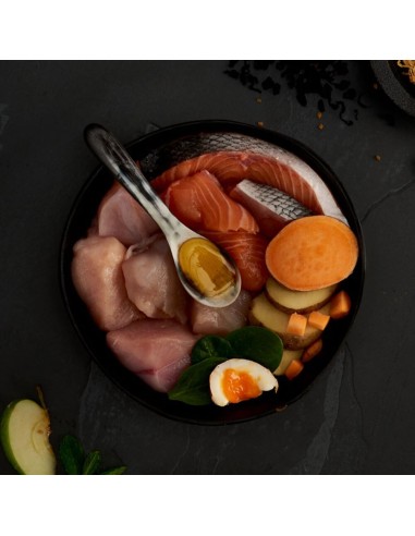 CANAGAN LIGTH - SENIOR - ESTERILIZADOS PARA GATOS 4 KG 1 5 KG 375 GR - 2