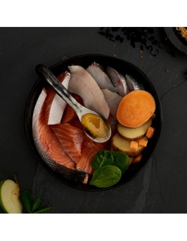 CANAGAN SALMÓN ESCOCÉS PARA GATOS 4 KG 8 KG 1 5 KG 375 GR - 4