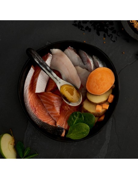 CANAGAN SALMÓN ESCOCÉS PARA GATOS 4 KG 8 KG 1 5 KG 375 GR - 4