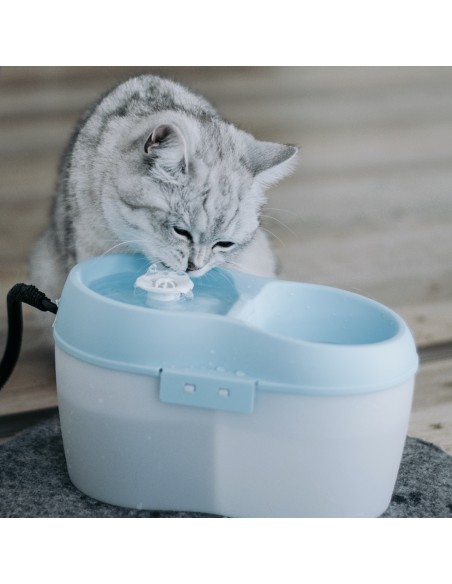 CATH2O FUENTE AGUA PARA GATOS - 2 LITROS - 2