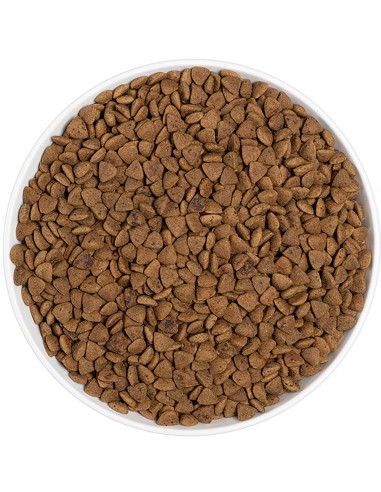 ERA PIENSO GRAIN FREE CAT ADULT SALMON Y PATO 3 KG 1 25 KG - 4