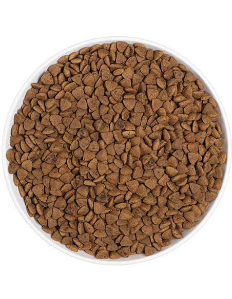 ERA PIENSO GRAIN FREE CAT ADULT SALMON Y PATO 3 KG 1 25 KG - 4