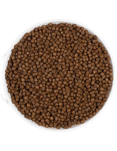 ERA PIENSO GRAIN FREE KITTEN POLLO Y PAVO - 1,25 KG 1 25 KG - 4