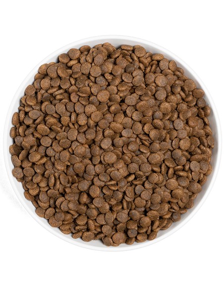 ERA PIENSO GRAIN FREE CAT SENSITIVE SALMÓN Y PAVO 3 KG 1 25 KG - 4