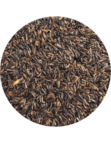 PET CUP NEGRILLO - 20 KG 20 KG