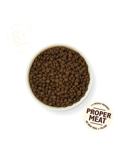 LILY`S LILY´S CHICKEN & SALMON PUPPY DRY FOOD PARA CACHORROS - 7 KG 7 KG - 3