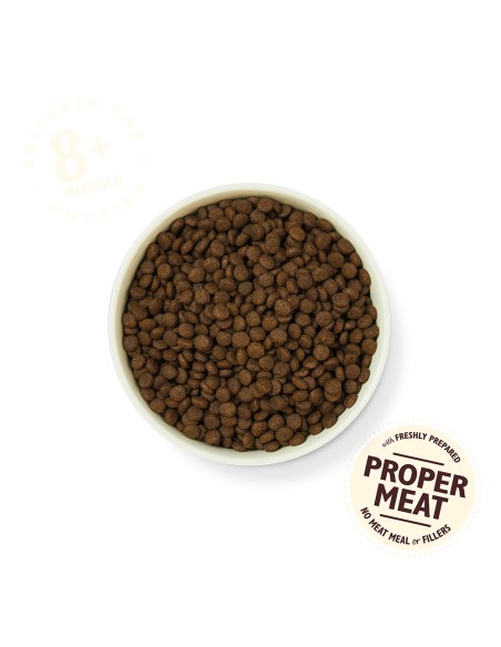 LILY`S LILY´S CHICKEN & SALMON PUPPY DRY FOOD PARA CACHORROS - 7 KG 7 KG - 3