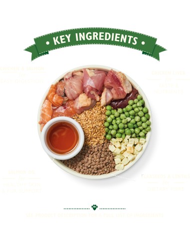 LILY`S LILY´S CHICKEN & SALMON PUPPY DRY FOOD PARA CACHORROS - 7 KG 7 KG - 4